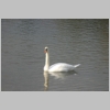 IMG_8039 copy.jpg